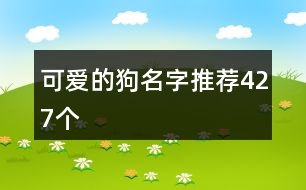 可愛的狗名字推薦427個