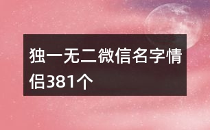 獨(dú)一無(wú)二微信名字情侶381個(gè)