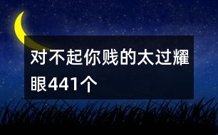 對(duì)不起你賤的太過耀眼441個(gè)