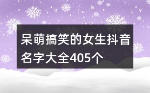 呆萌搞笑的女生抖音名字大全405個