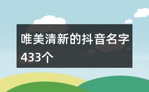 唯美清新的抖音名字433個