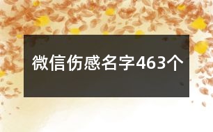 微信傷感名字463個(gè)