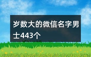 歲數(shù)大的微信名字男士443個(gè)