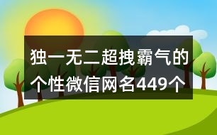 獨(dú)一無(wú)二超拽霸氣的個(gè)性微信網(wǎng)名449個(gè)