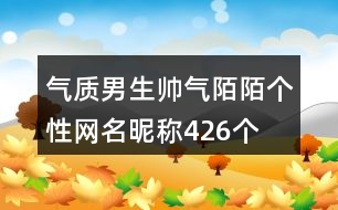 氣質(zhì)男生帥氣陌陌個(gè)性網(wǎng)名昵稱(chēng)426個(gè)