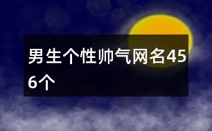 男生個性帥氣網(wǎng)名456個