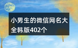 小男生的微信網(wǎng)名大全韓版402個(gè)