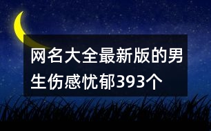 網(wǎng)名大全最新版的男生傷感憂郁393個