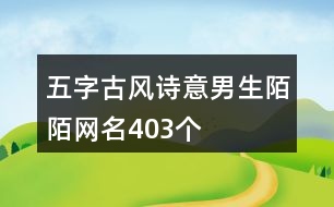 五字古風(fēng)詩(shī)意男生陌陌網(wǎng)名403個(gè)