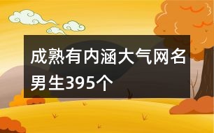 成熟有內(nèi)涵大氣網(wǎng)名男生395個(gè)