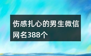 傷感扎心的男生微信網(wǎng)名388個(gè)