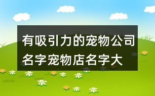 有吸引力的寵物公司名字,寵物店名字大全簡單好記381個