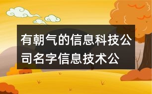 有朝氣的信息科技公司名字,信息技術(shù)公司名字大全437個