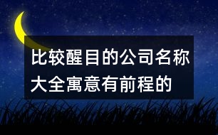 比較醒目的公司名稱大全,寓意有前程的公司名字410個(gè)