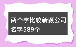 兩個字比較新穎公司名字589個