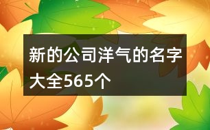 新的公司洋氣的名字大全565個