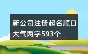 新公司注冊(cè)起名順口大氣兩字593個(gè)