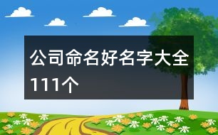 公司命名好名字大全111個