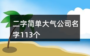 二字簡單大氣公司名字113個