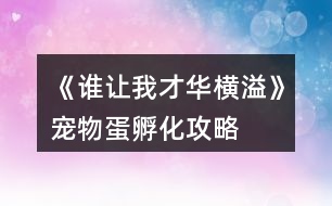 《誰(shuí)讓我才華橫溢》寵物蛋孵化攻略