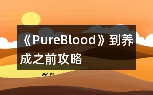 《PureBlood》到養(yǎng)成之前攻略