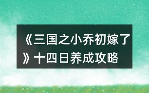 《三國之小喬初嫁了》十四日養(yǎng)成攻略