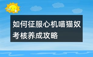 如何征服心機(jī)喵貓奴考核養(yǎng)成攻略