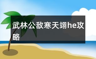 武林公敵寒天翊he攻略