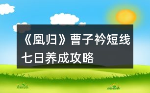 《凰歸》曹子衿短線七日養(yǎng)成攻略