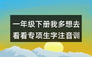 一年級(jí)下冊(cè)我多想去看看專(zhuān)項(xiàng)生字注音訓(xùn)練