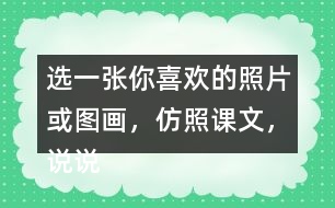 選一張你喜歡的照片或圖畫，仿照課文，說說上面都有什么。