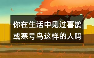 你在生活中見過喜鵲或寒號(hào)鳥這樣的人嗎?說說他的小故事。