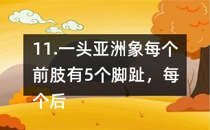 11.一頭亞洲象每個(gè)前肢有5個(gè)腳趾，每個(gè)后肢有4個(gè)腳趾，這頭亞洲象一共有多少個(gè)腳趾?