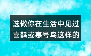 選做：你在生活中見過喜鵲或寒號鳥這樣的人嗎?說說他的小故事。