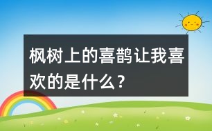 楓樹上的喜鵲讓我喜歡的是什么？