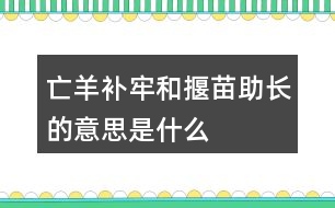 亡羊補牢和揠苗助長的意思是什么