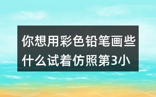 你想用彩色鉛筆畫(huà)些什么試著仿照第3小節(jié)