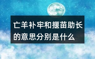 亡羊補牢和揠苗助長的意思分別是什么