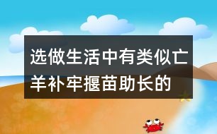 選做,生活中有類似亡羊補牢,揠苗助長的事例嗎?寫一寫