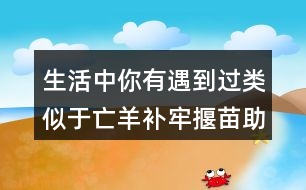 生活中你有遇到過類似于亡羊補牢揠苗助長的事嗎