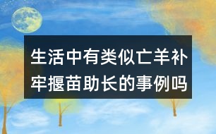 生活中有類似亡羊補牢揠苗助長的事例嗎說一說。