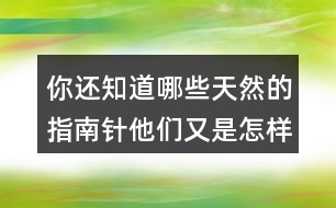 你還知道哪些天然的指南針?biāo)麄冇质窃鯓訋椭藗儽鎰e方向的向同學(xué)介紹一下