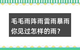 毛毛雨,陣雨,雷雨,暴雨你見過怎樣的雨？當(dāng)時的情景？