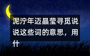 泥濘年邁晶瑩尋覓說說這些詞的意思，用什么方法知道的