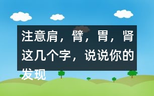 注意肩，臂，胃，腎這幾個(gè)字，說(shuō)說(shuō)你的發(fā)現(xiàn)