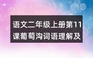 語文二年級(jí)上冊(cè)第11課葡萄溝詞語理解及造句