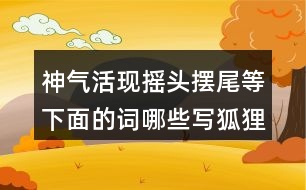 神氣活現(xiàn)搖頭擺尾等下面的詞哪些寫狐貍，哪些寫老虎的