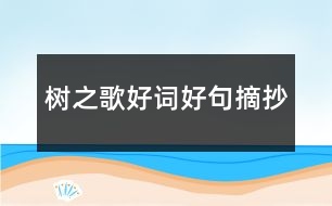 樹之歌好詞好句摘抄