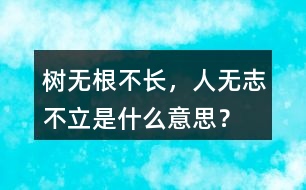 樹無根不長，人無志不立是什么意思？