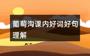 葡萄溝課內(nèi)好詞好句理解